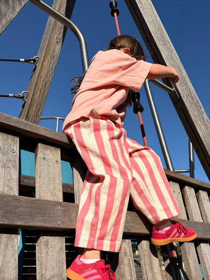 Saddle Stripe Pants - Hot Pink