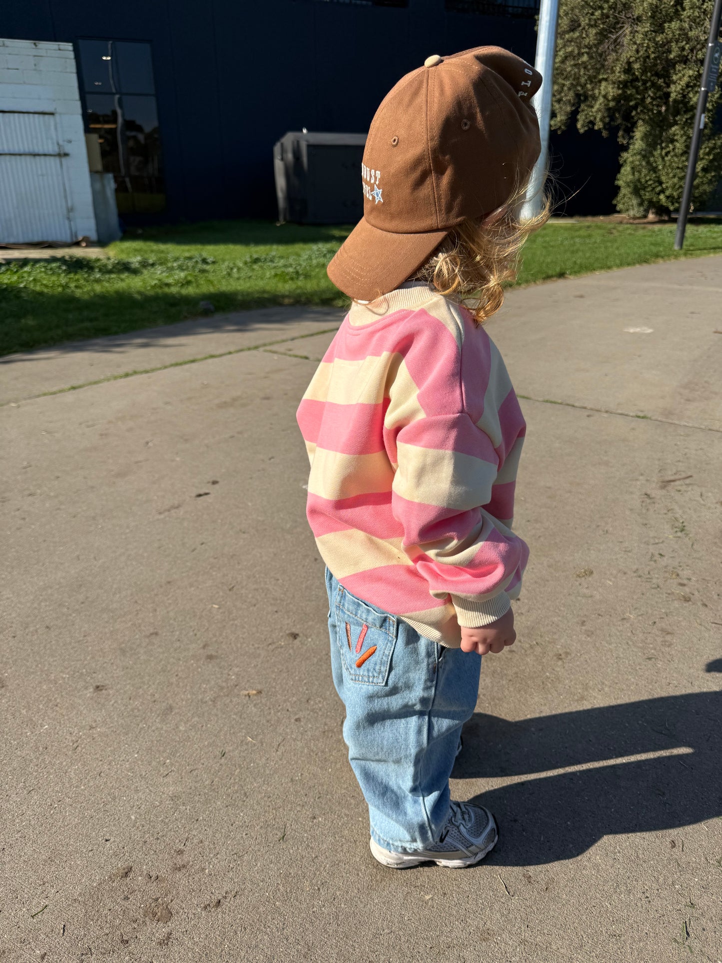 Mesa Pullover - Pink
